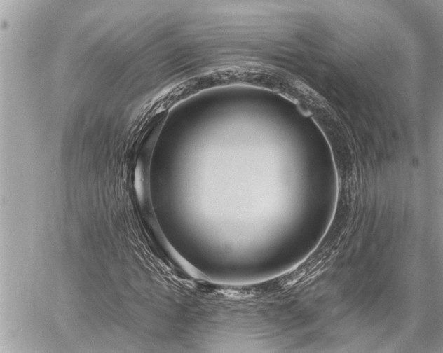 X0000060260822200511010910