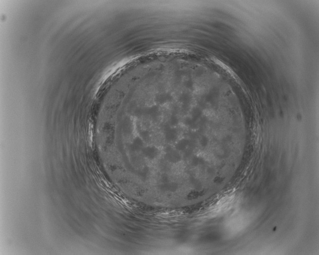 X0000060260823200511010910