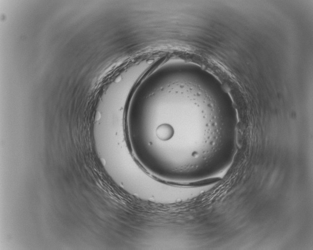 X0000060260824200511010910