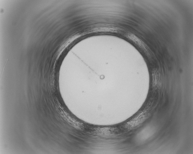 X0000060260828200511010910