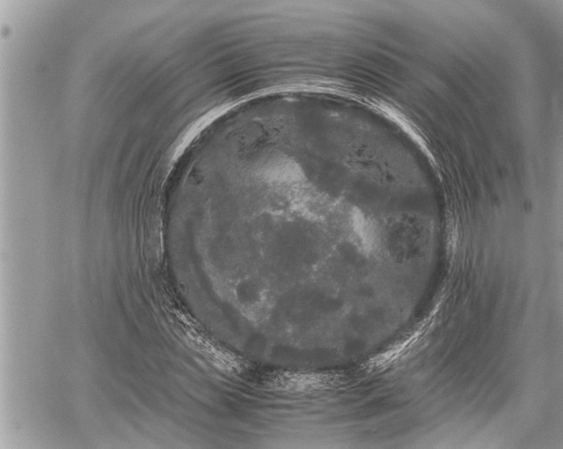 X0000060260829200511010910