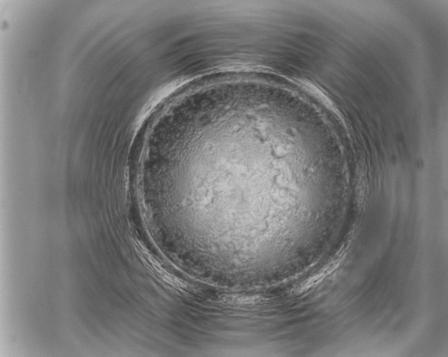 X0000060260831200511010910