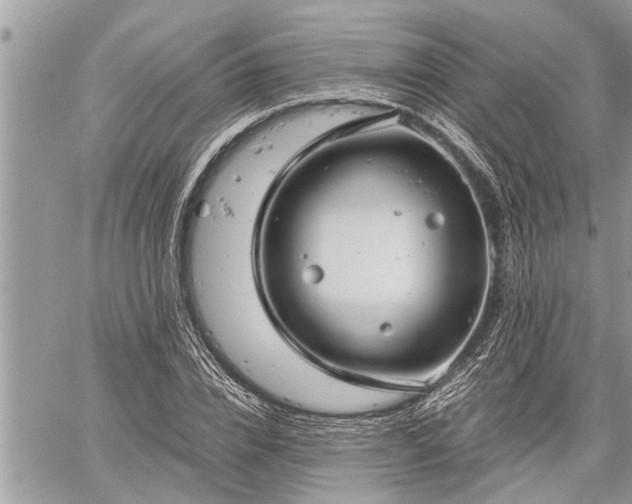 X0000060260832200511010911