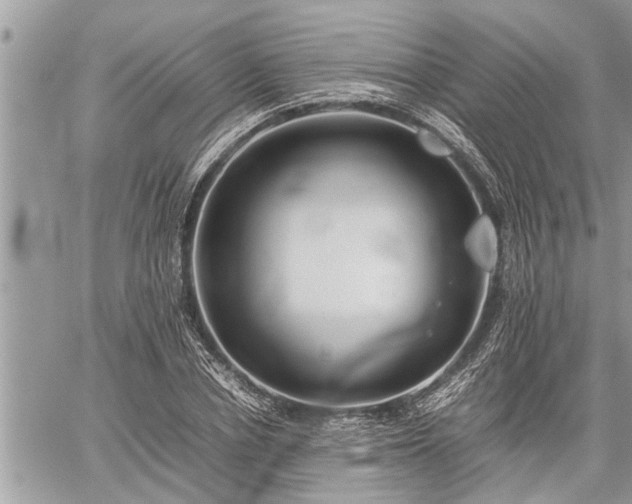 X0000060260834200511010911