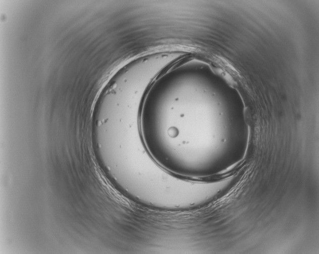 X0000060260836200511010911