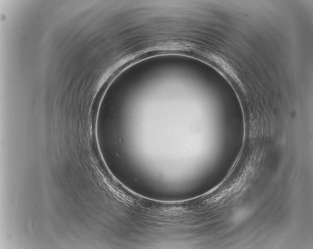 X0000060260837200511010911