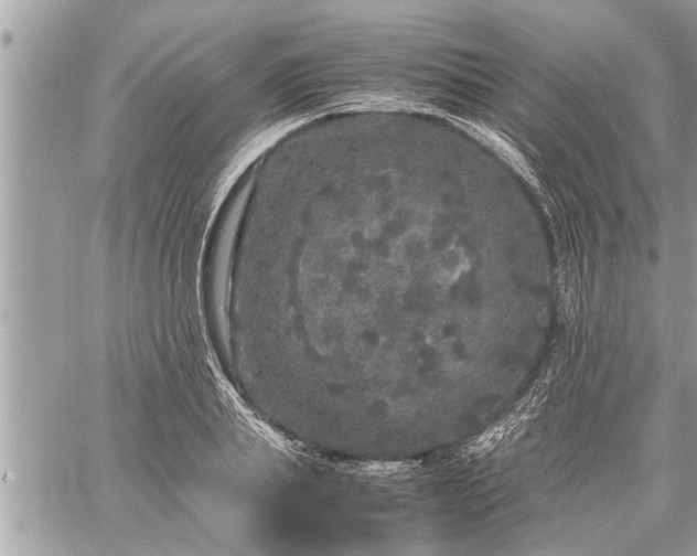 X0000060260839200511010911