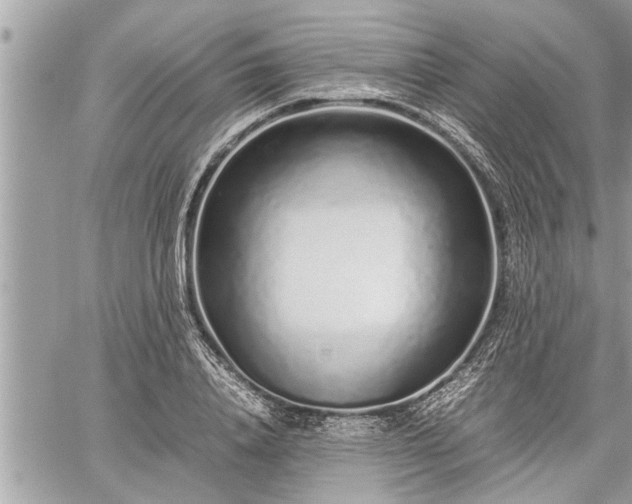 X0000060260840200511010911