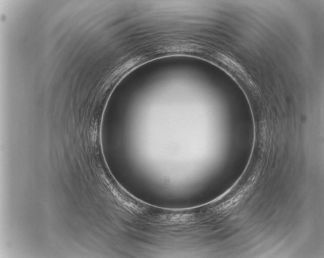 X0000060260841200511010911