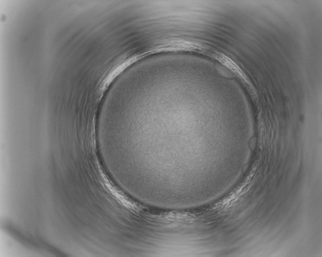 X0000060260842200511010911