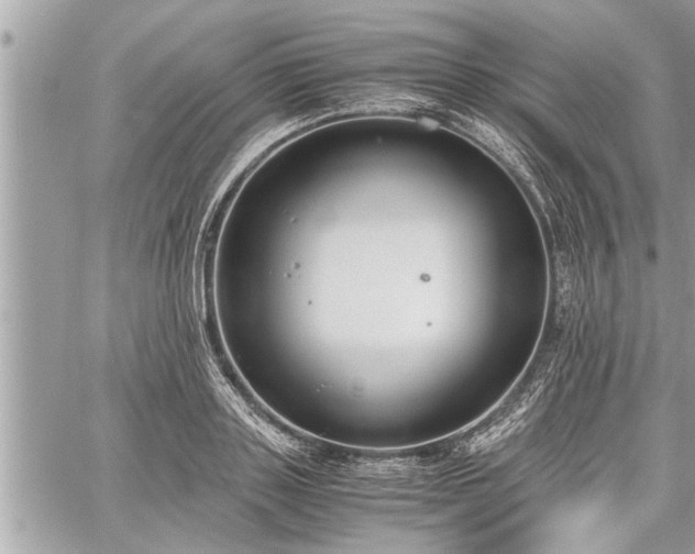 X0000060260843200511010911