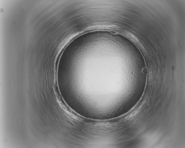 X0000060260844200511010911