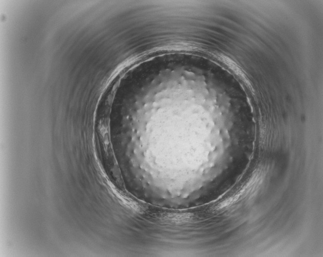 X0000060260845200511010911