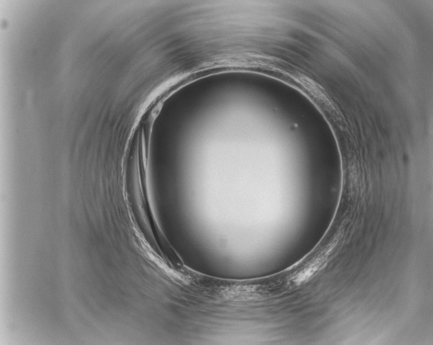 X0000060260846200511010911