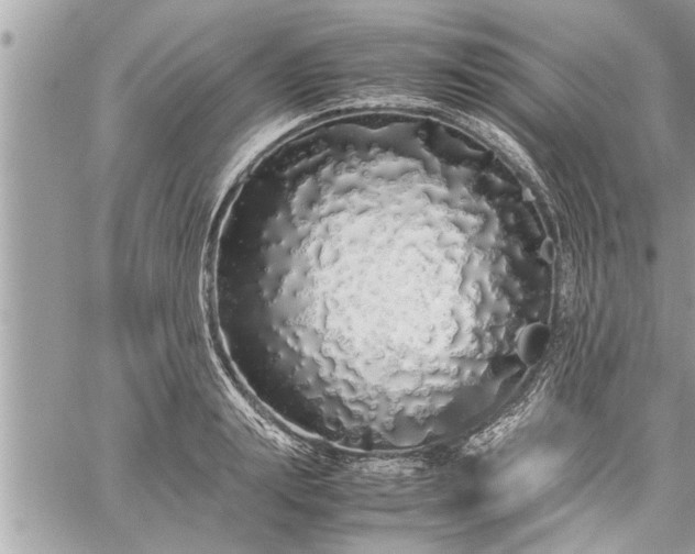 X0000060260847200511010911