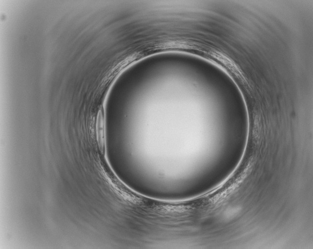 X0000060260849200511010911