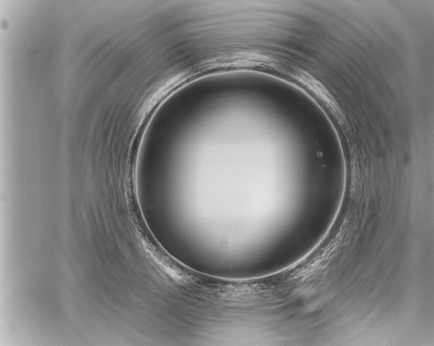 X0000060260850200511010911