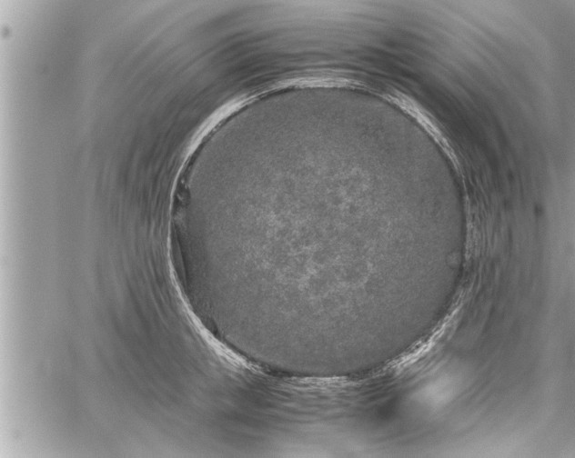 X0000060260853200511010911