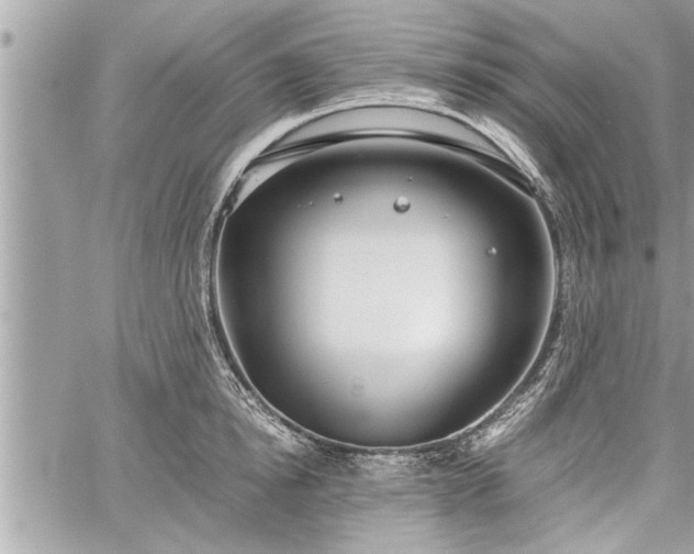 X0000060260854200511010911