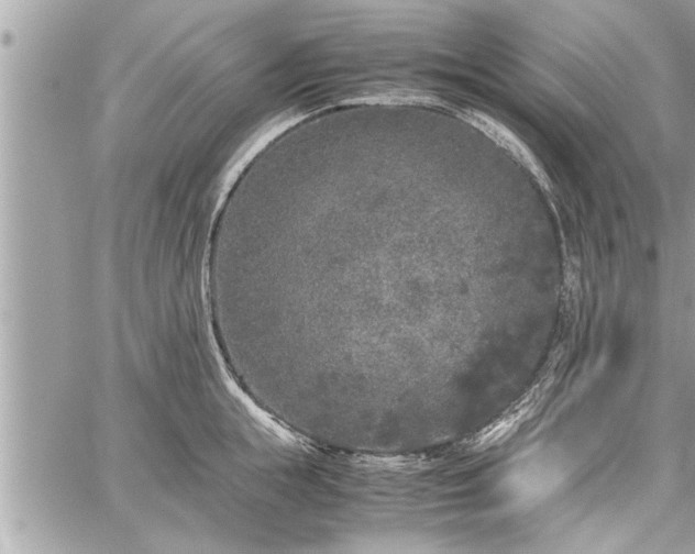 X0000060260855200511010911