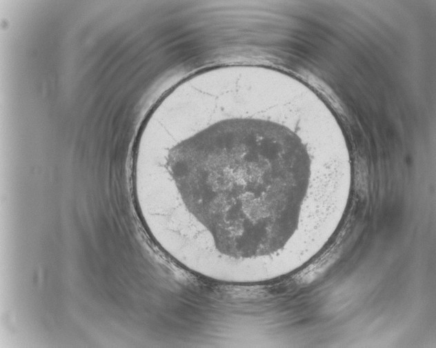 X0000060260856200511010911