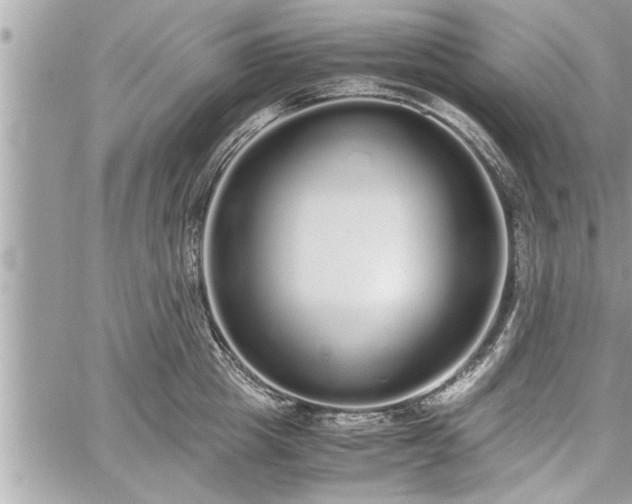 X0000060260857200511010911