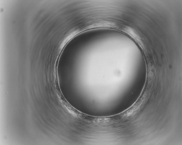 X0000060260858200511010911