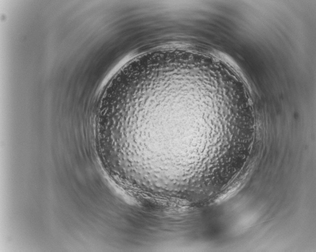 X0000060260859200511010911