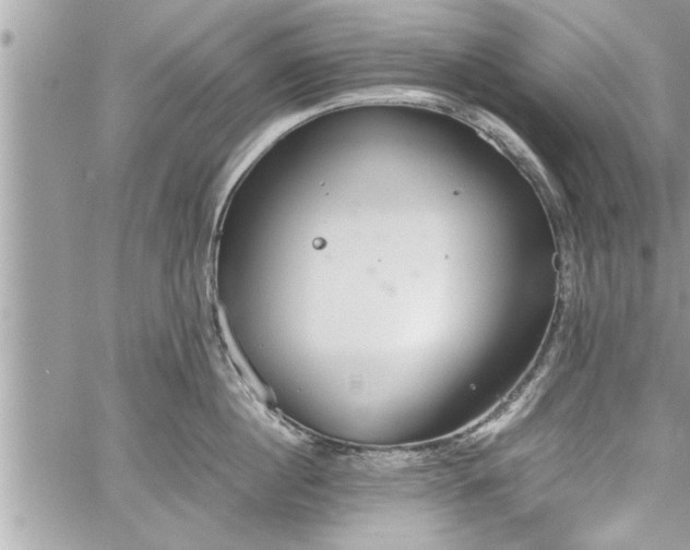 X0000060260860200511010911