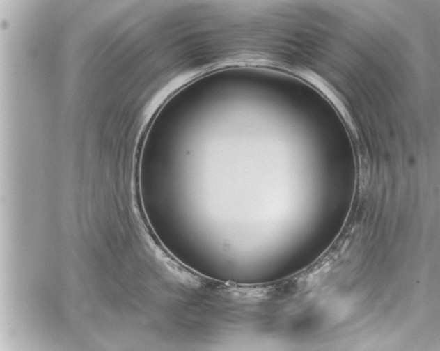 X0000060260861200511010911