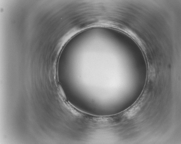 X0000060260862200511010911