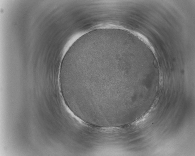 X0000060260863200511010911