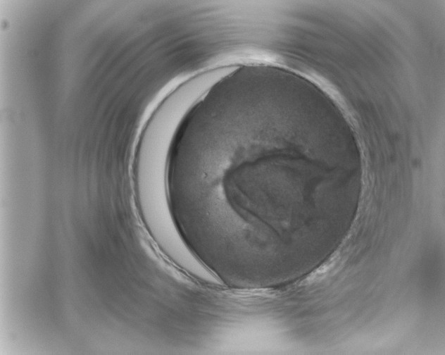 X0000060260864200511010911