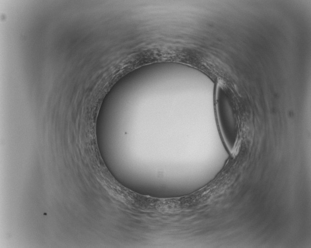 X0000060260865200511010910