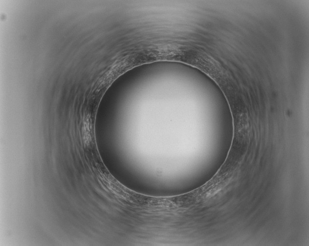 X0000060260866200511010910