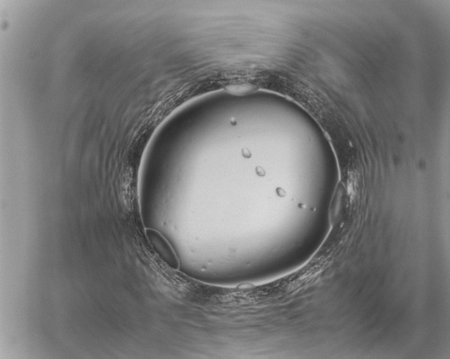 X0000060260867200511010910