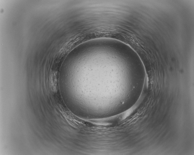 X0000060260868200511010910