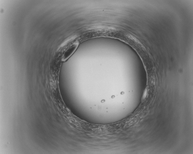 X0000060260869200511010910