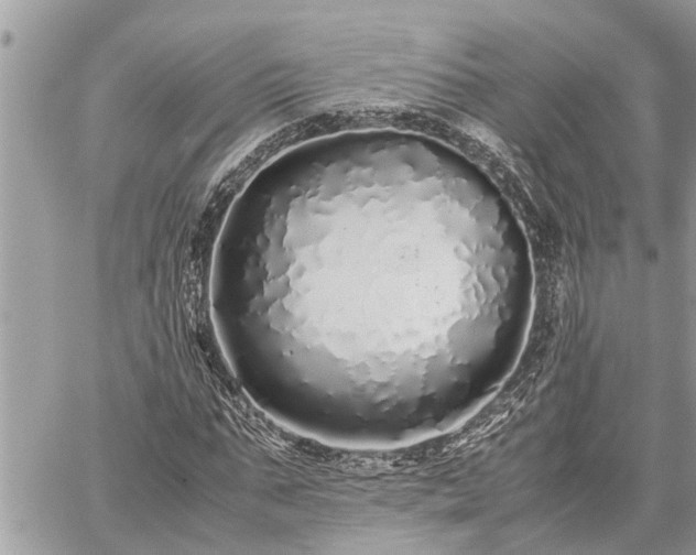 X0000060260871200511010910