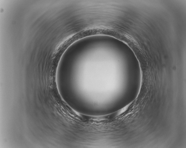 X0000060260872200511010910