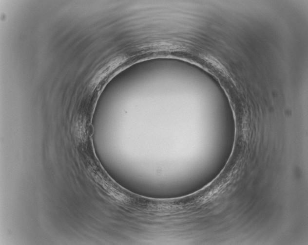 X0000060260873200511010910