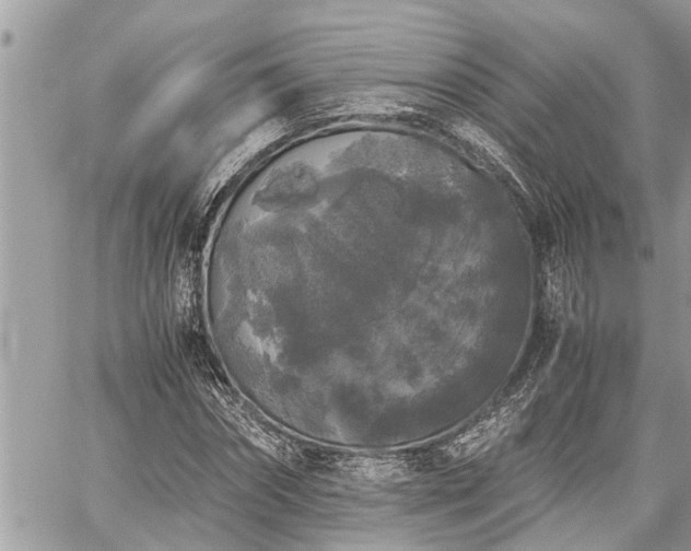 X0000060260874200511010910