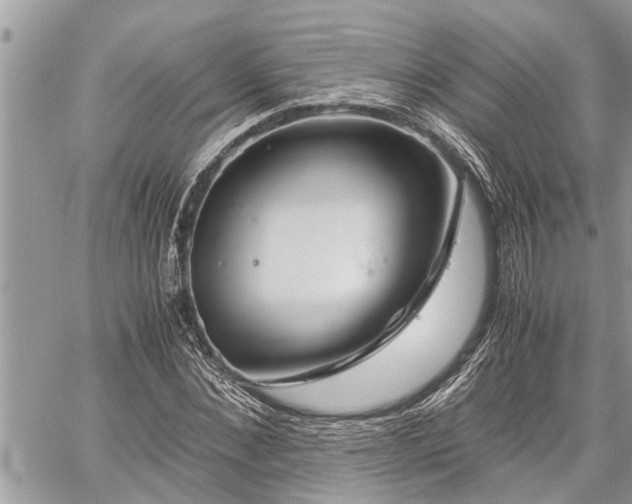 X0000060260876200511010910