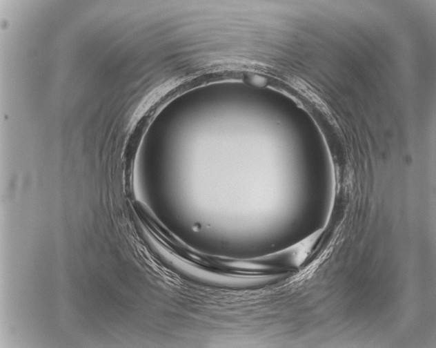 X0000060260877200511010910