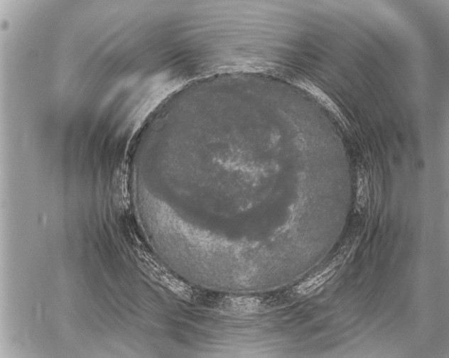 X0000060260878200511010910