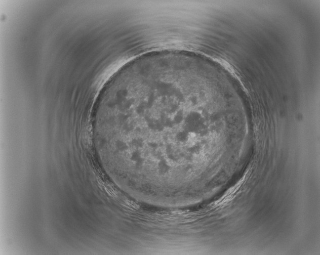 X0000060260879200511010910