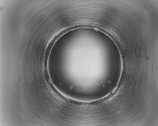 X0000060260880200511010910