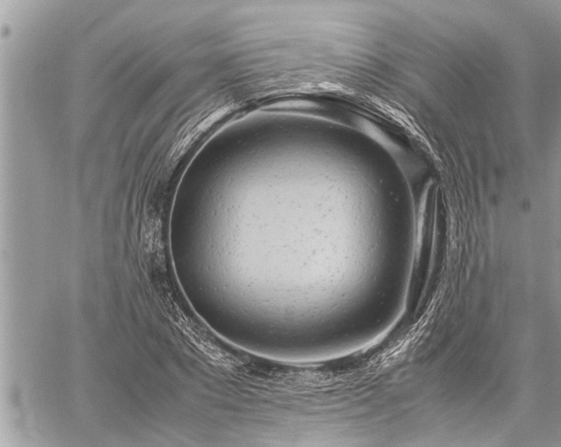 X0000060260881200511010910