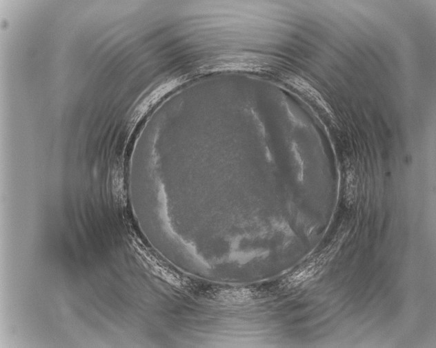 X0000060260882200511010910