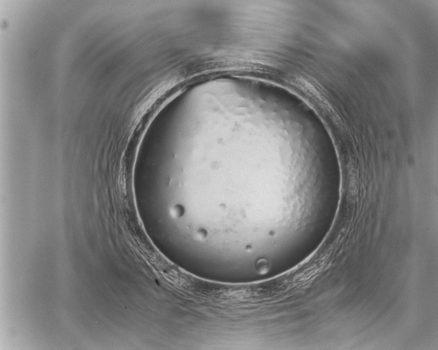 X0000060260883200511010910